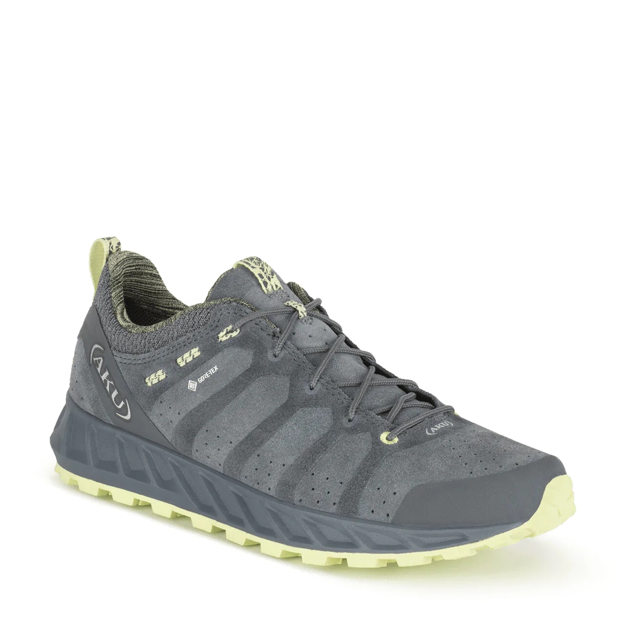 Grey AKU Rapida Evo Gtx Walking Shoes | 3172369